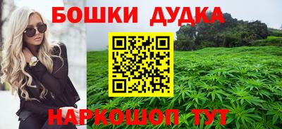 мдпв Лесосибирск