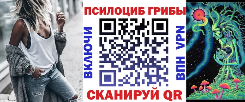 Псилоцибиновые грибы мухоморы  даркнет сайт  Гагарин 