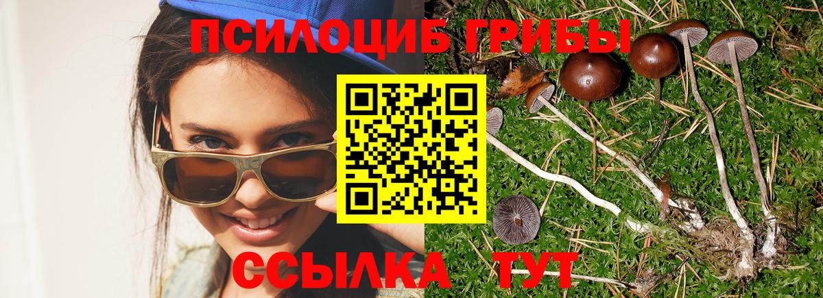 Псилоцибиновые грибы Magic Shrooms  Вход с VPN  Гагарин  Псилоцибиновые грибы мухоморы 
